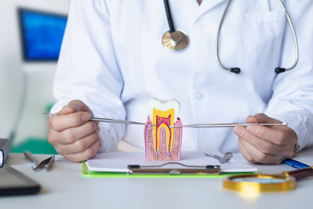Best Weekend Emergency Dentist in Canyon Lake, TX